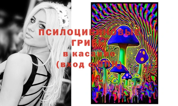 бутират Алзамай