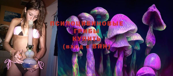 бутират Алзамай