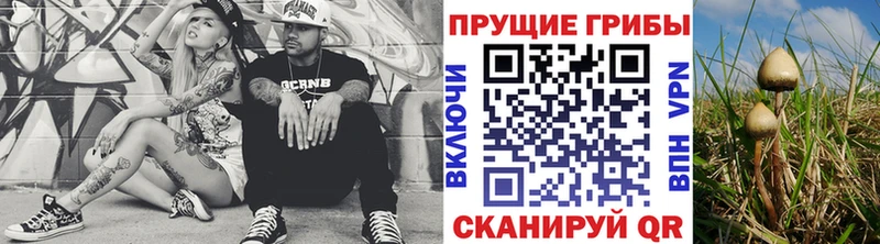 Псилоцибиновые грибы Cubensis закладки Мантурово